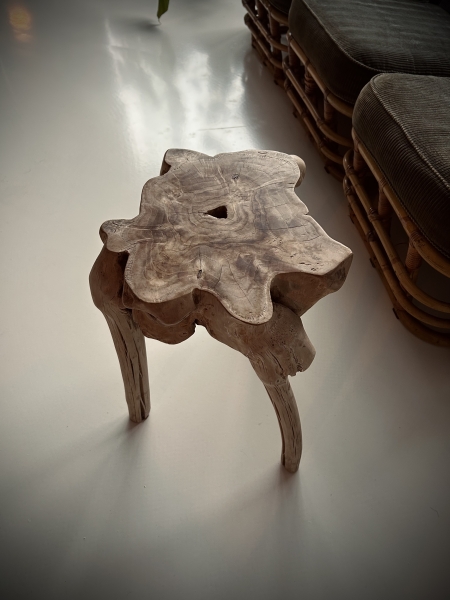 TheOasianist Table Wood 01